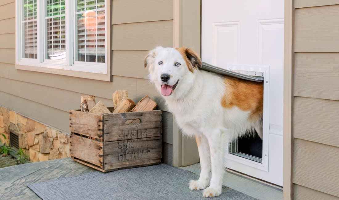 Pet Access Door Repair